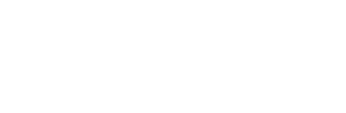 CoinsPlus logo white